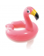 Badering flamingo