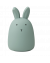 Natlampe Rabbit Peppermint