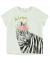t-shirt bright white zebra 