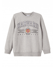 Name it University Faser Sweatshirt Grey Melange 